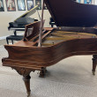 1907 Ivers and Pond Princess Grand - Grand Pianos